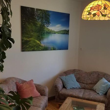 Ferienwohnung Alte-Schule-Kail Wohnung 2 Εξωτερικό φωτογραφία