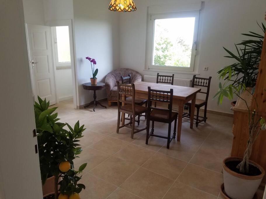 Ferienwohnung Alte-Schule-Kail Wohnung 2 Εξωτερικό φωτογραφία