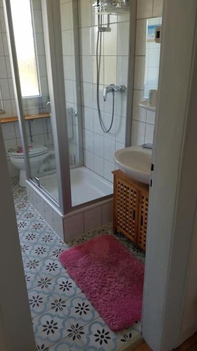Ferienwohnung Alte-Schule-Kail Wohnung 2 Εξωτερικό φωτογραφία